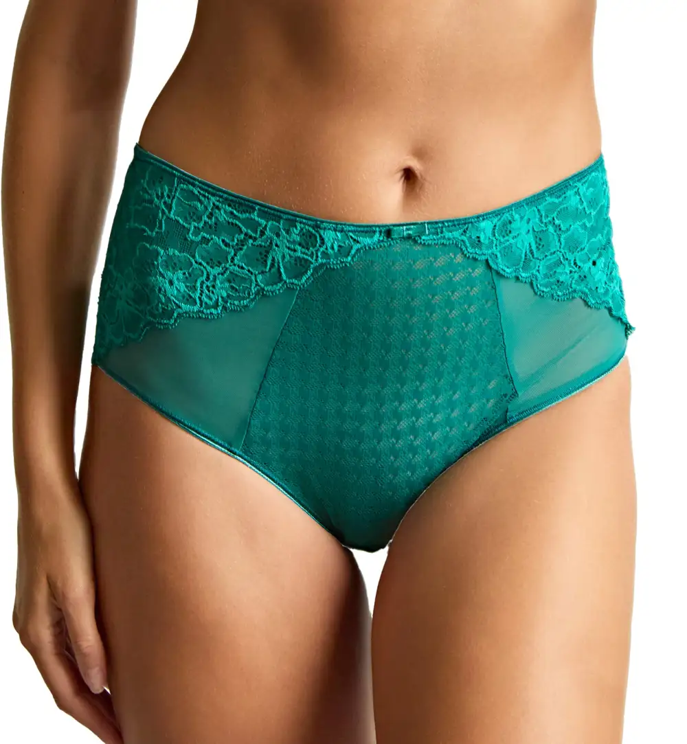 Essential High-Waist Stretch-Lace Floral Cheeky Brief Panty
