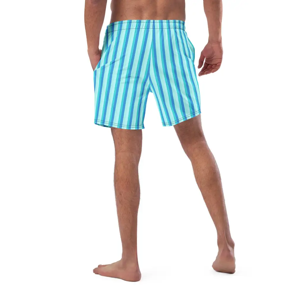Quick Dry Striped Swim Trunks