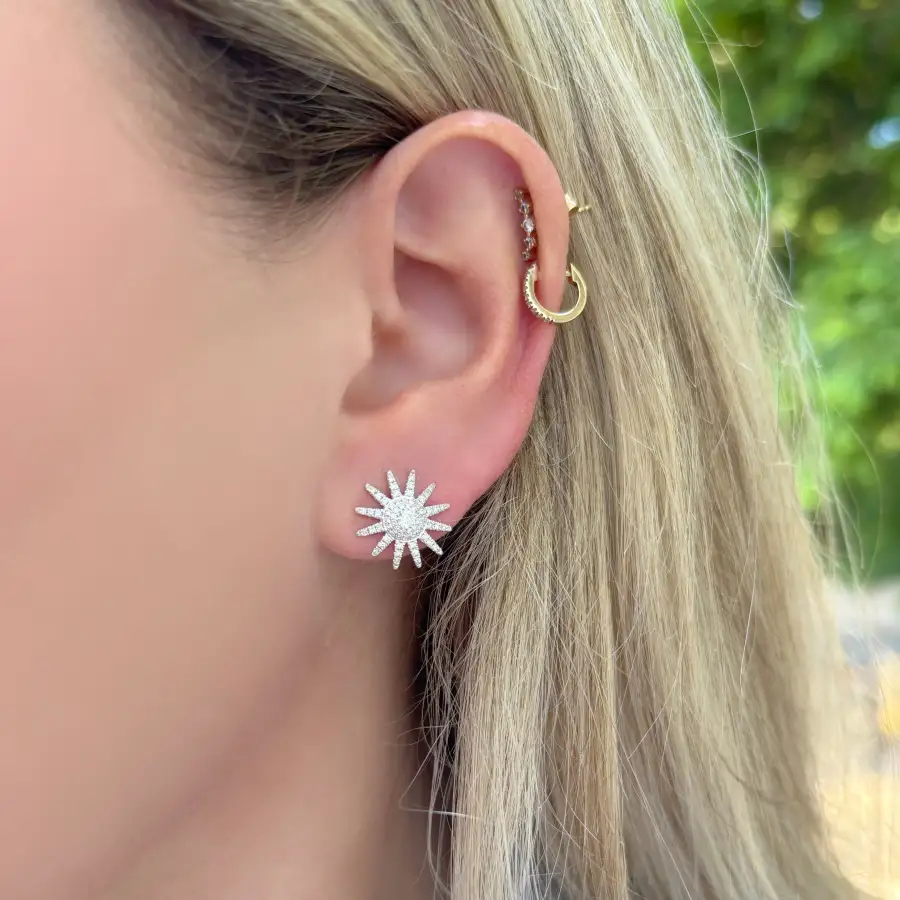 Statement Classic Gem Detail Stud Earrings