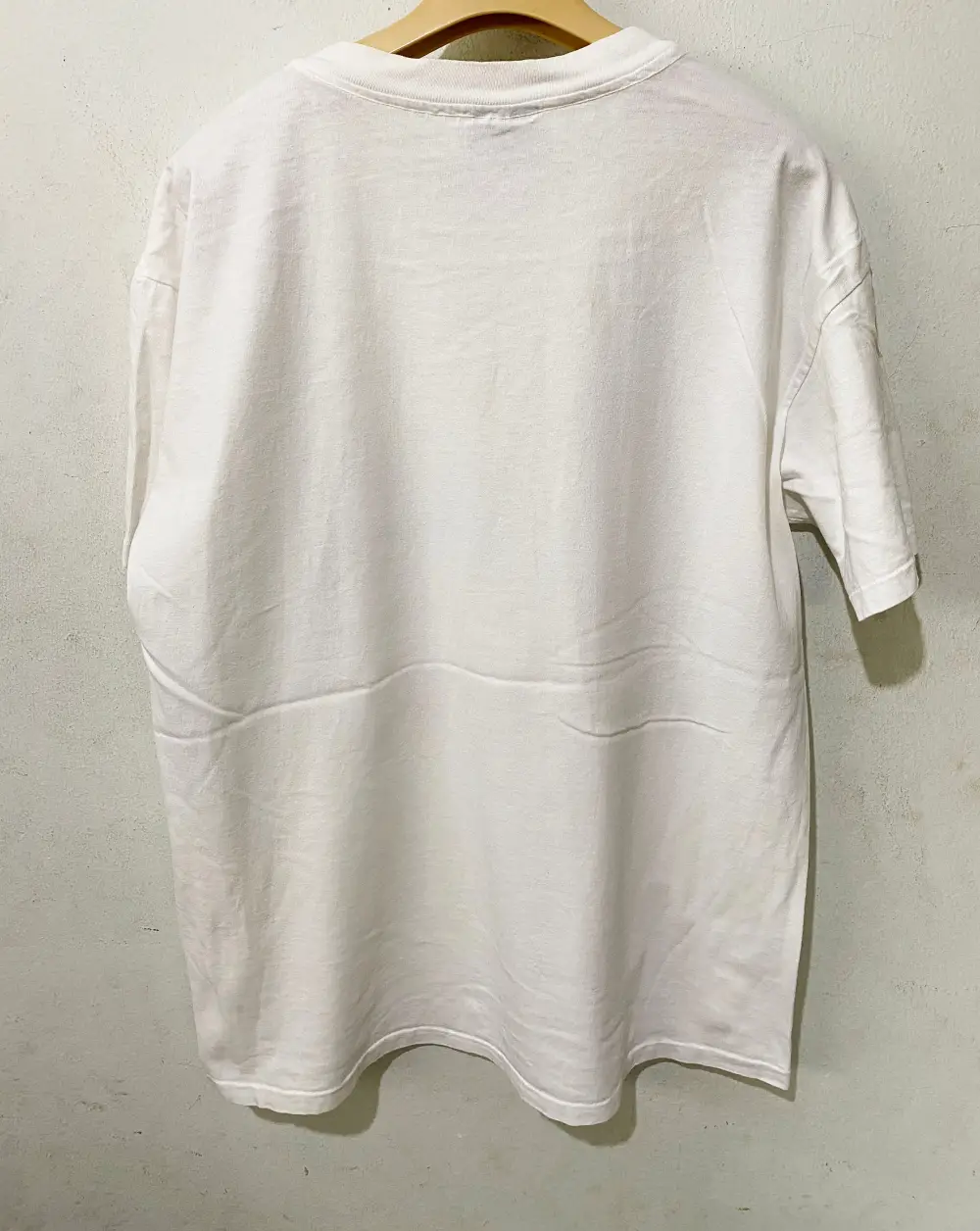 Vintage Songbird Printed Tee
