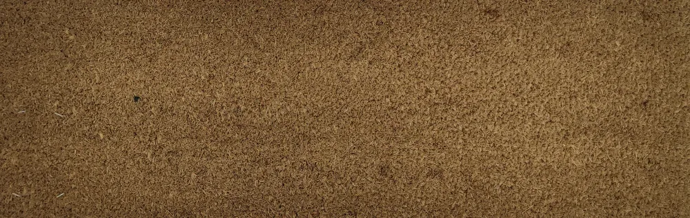 Everyday Coir Door Mat