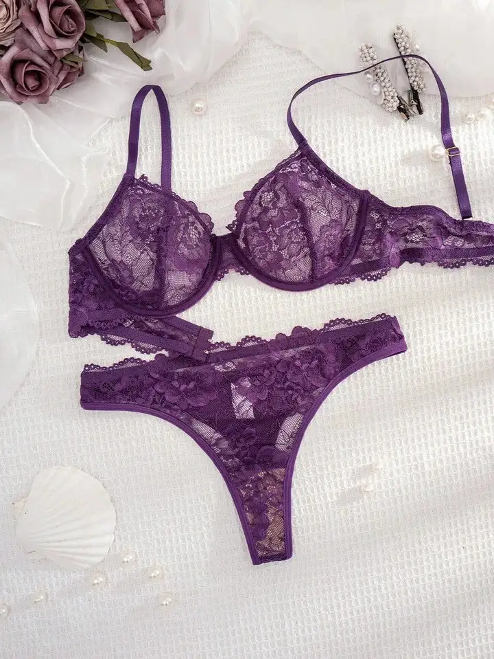 Delicate Lace Sheer Bra And Panty Set