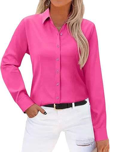 Wrinkle-Free Long Sleeve Blouse