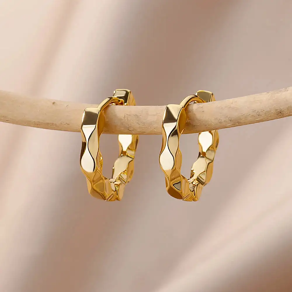 Stainless Steel Hoop Hoop Earrings