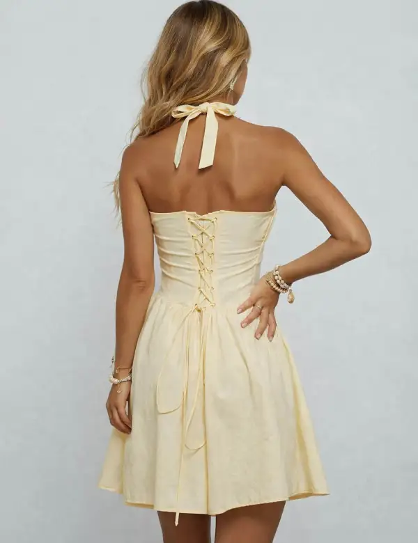 Chic Halter Neck Back Ruched Mini Dress