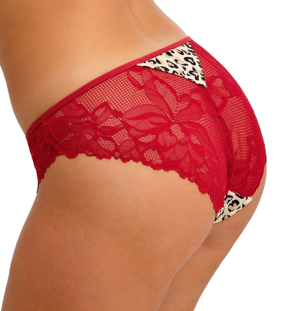 Classic Low-Rise Lace Cotton Classic Brief Panty