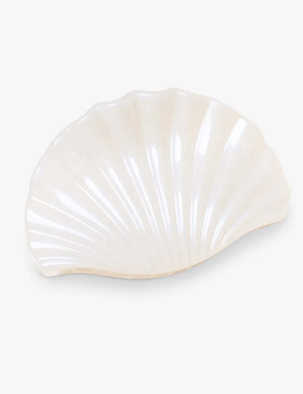 Shell Shape Hair Clip