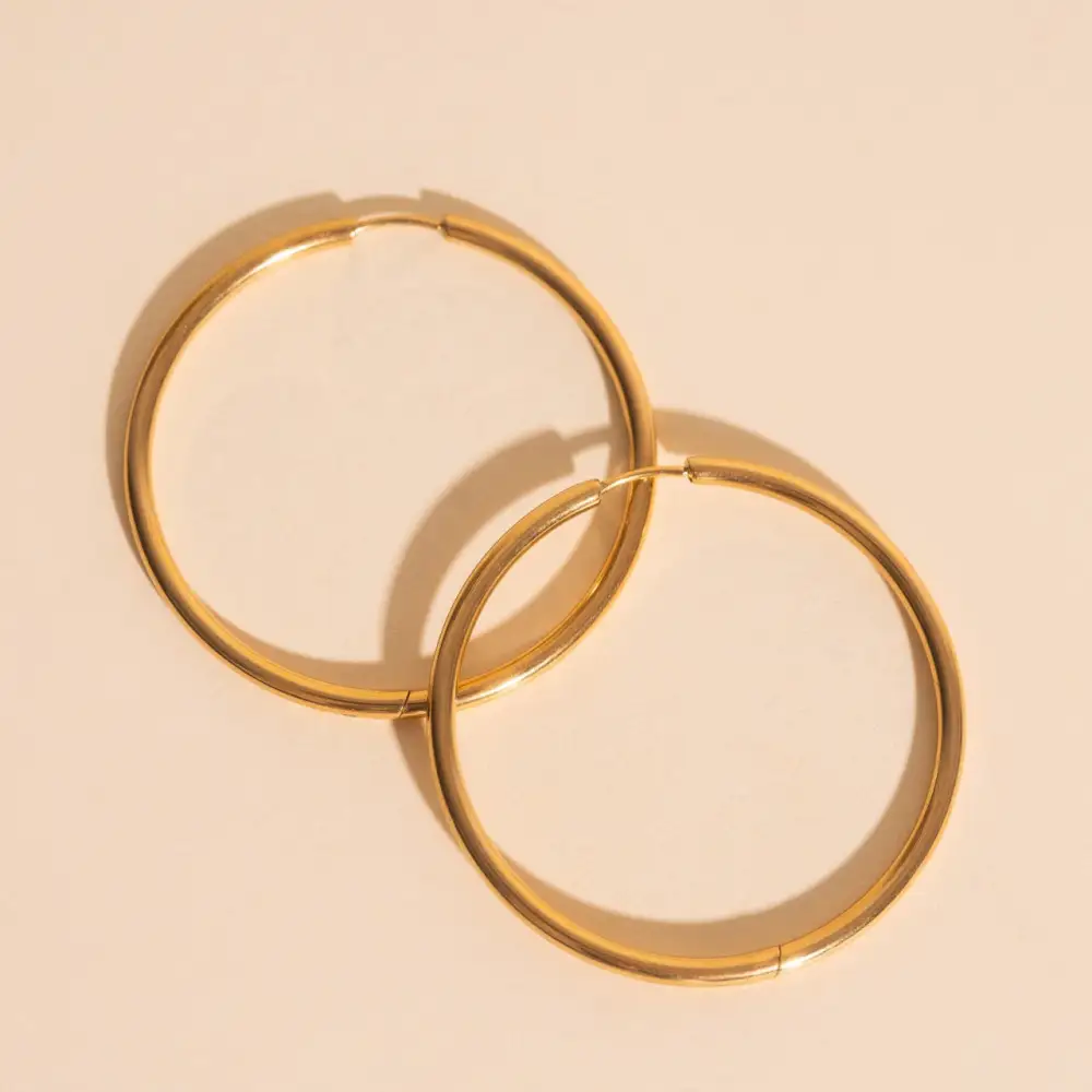Earring Fashion Earrings