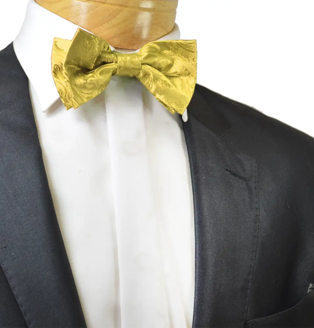 Dapper Gentleman Paisley Polyester Bow Tie