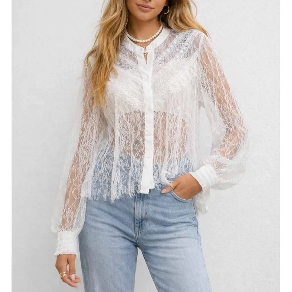 Sheer Lace Round Neck Button Long Sleeves Boho Blouse