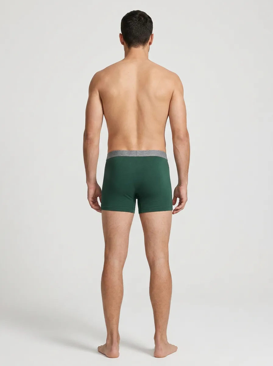 Pattern Elastic Waistband Pack Boxer Briefs