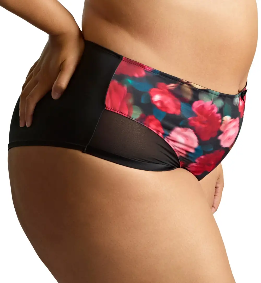 Classic High-Waist Lace Cotton High-Leg Brief Panty