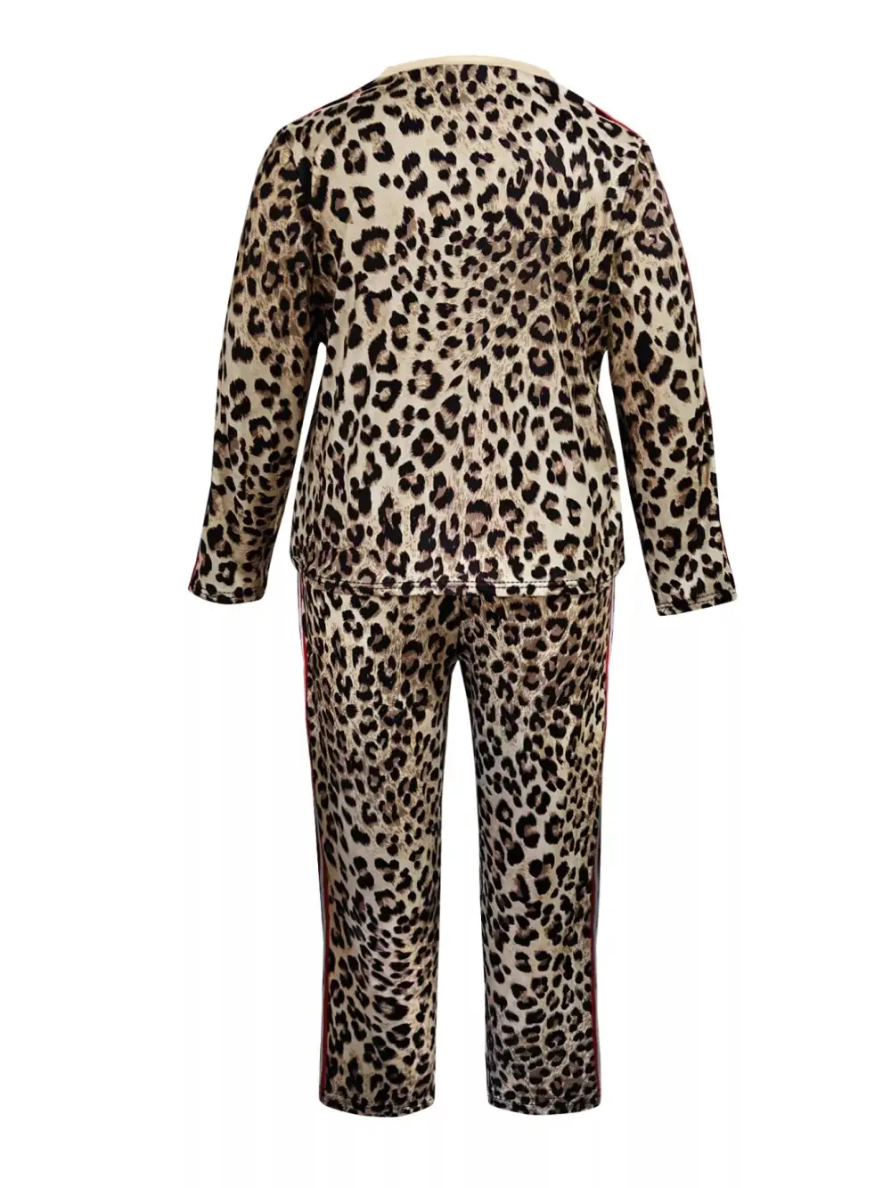 Leopard Print Long Sleeve Top and Pants Set