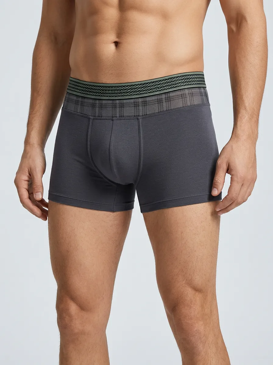 Plaid Waistband Boxer Briefs