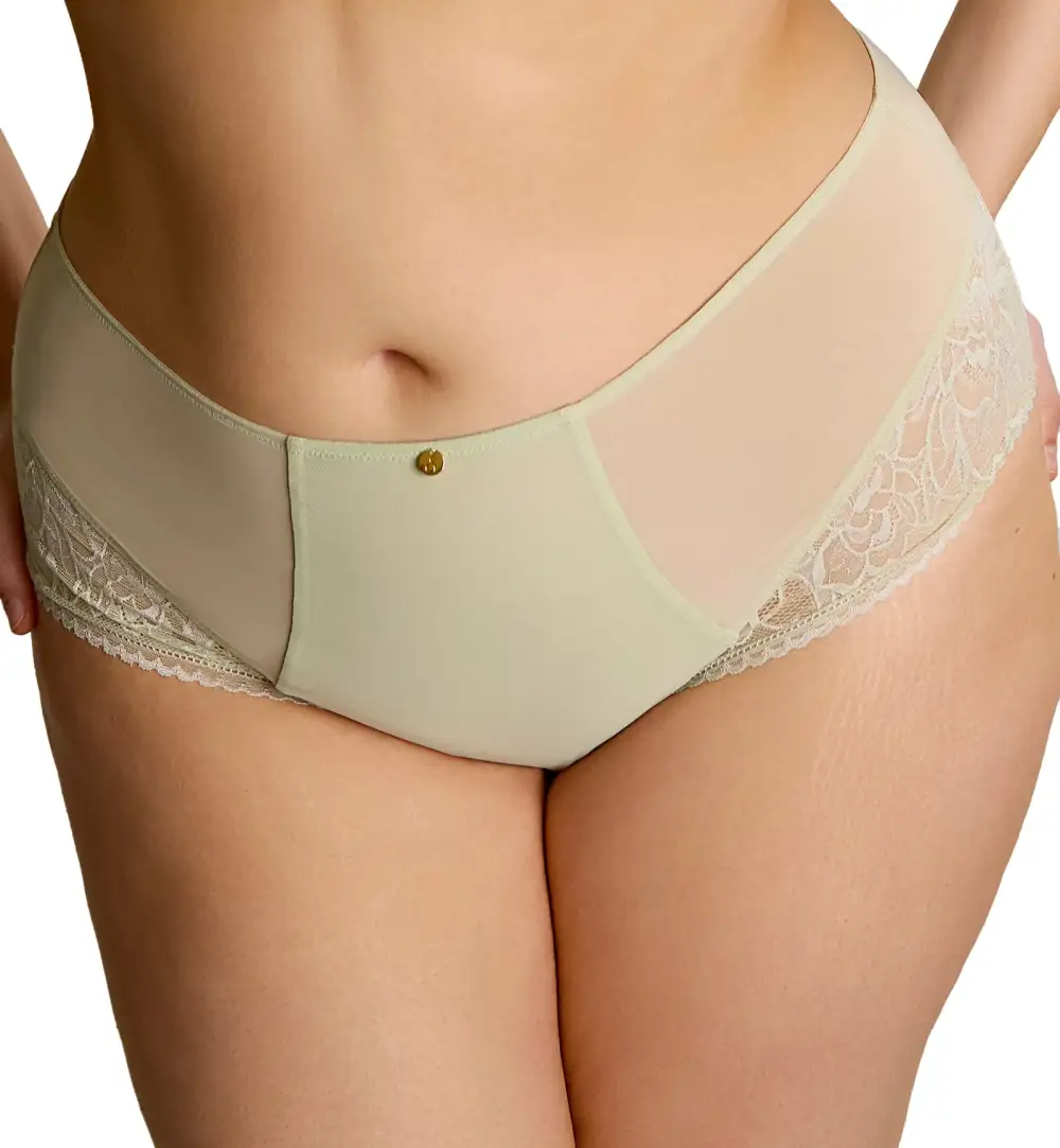 Classic High-Waist Stretch-Lace Mesh Classic Brief Panty