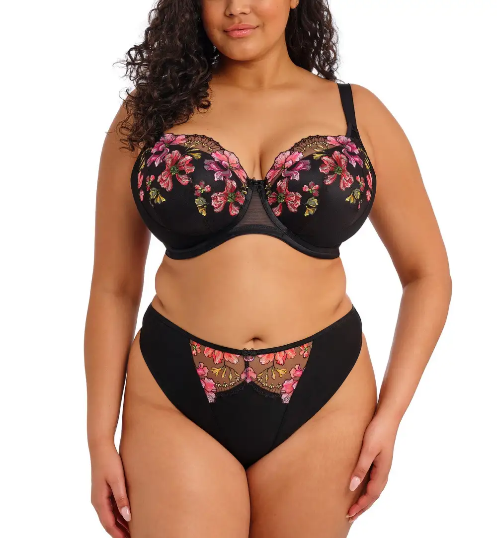 Classic Mid-Rise Mesh Embroidered Thong Panty