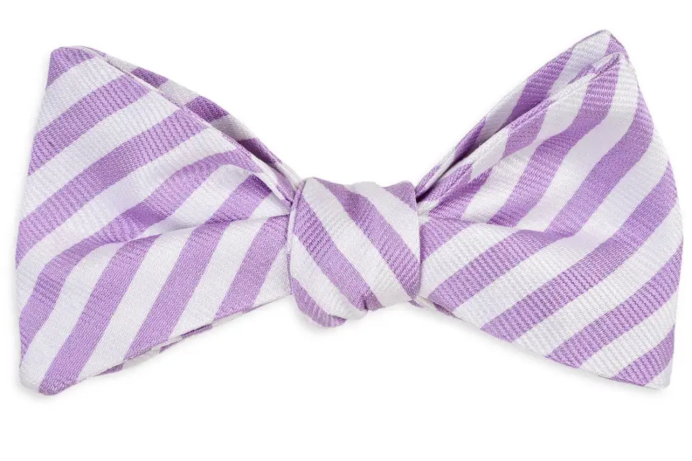 Elegant Statement Striped Bow Tie