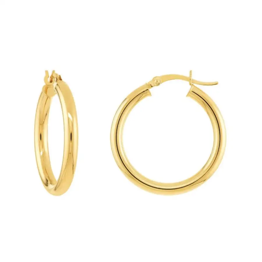 Sculpted Classic Hoop Earrings