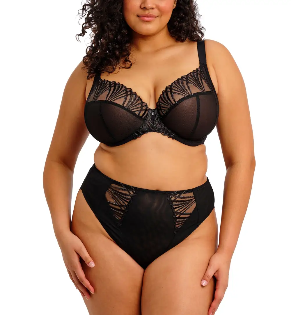 Classic High-Waist Mesh Embroidered Full-Coverage Brief Panty