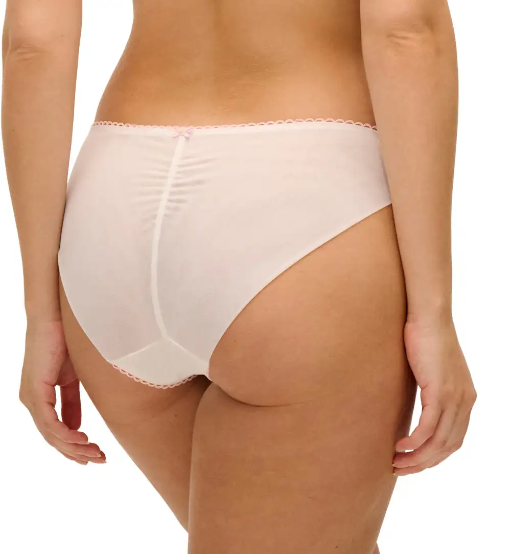 Classic Low-Rise Mesh Floral Full-Coverage Brief Panty