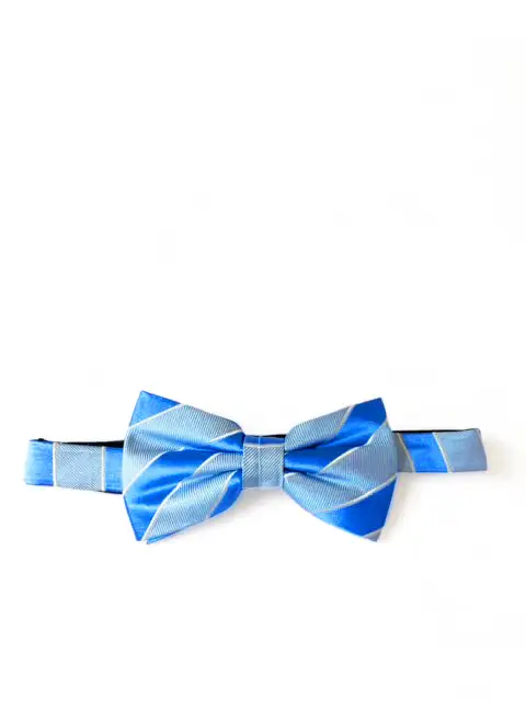 Contemporary Striped Silk Bow Tie