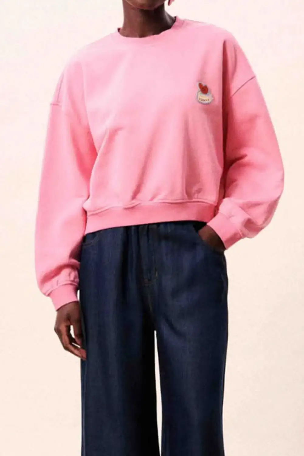 Embroidered Crew Neck Relaxed Sweatshirt