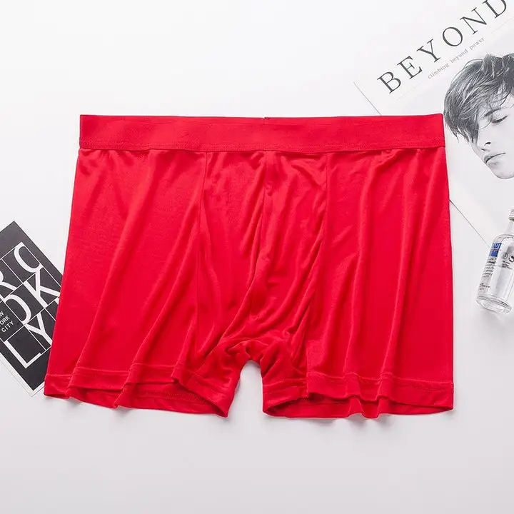 Mulberry Silk Everyday Boxer Briefs