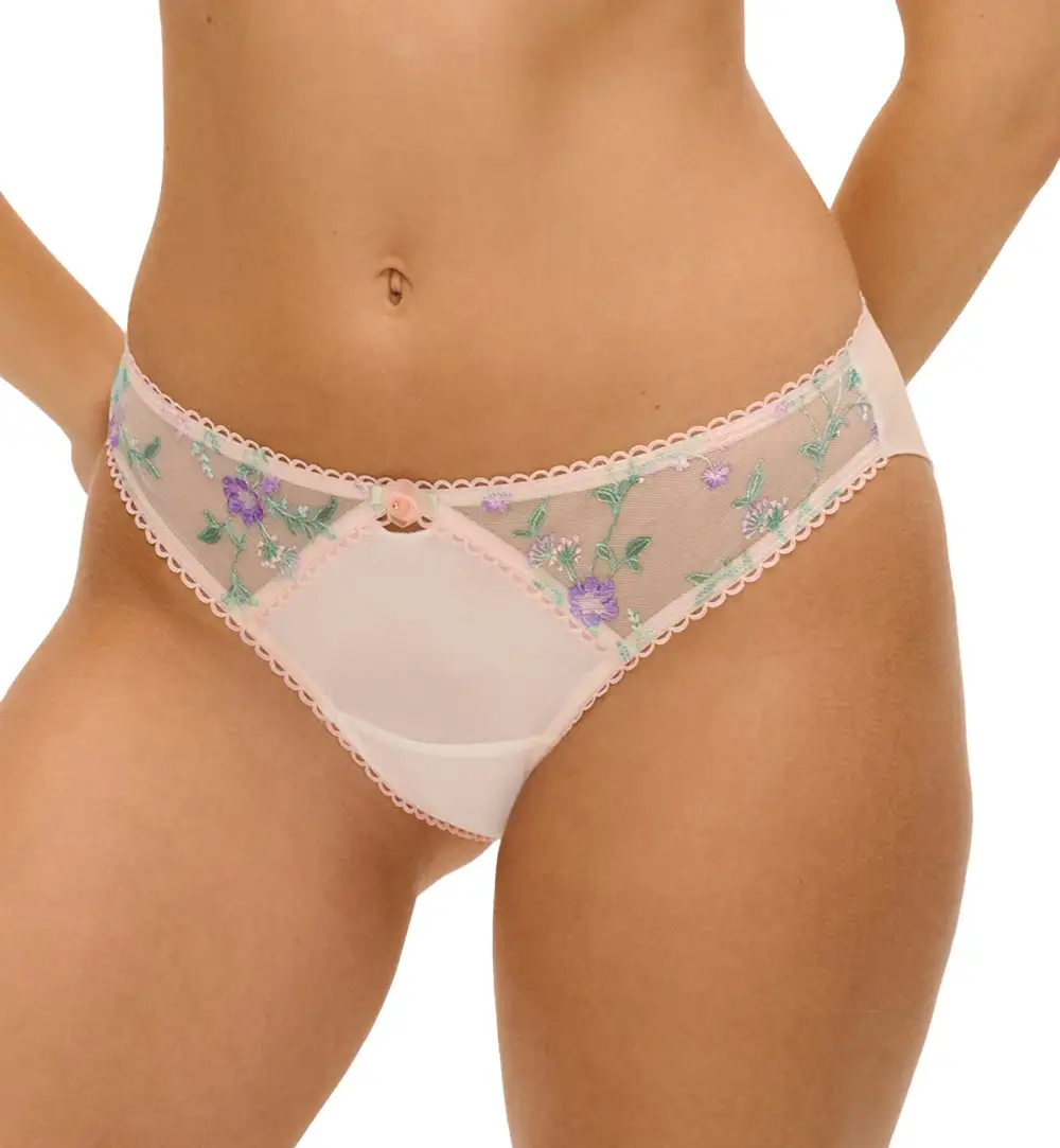 Classic Low-Rise Mesh Floral Full-Coverage Brief Panty