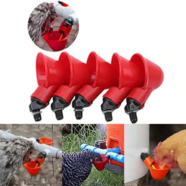 Bird Coop