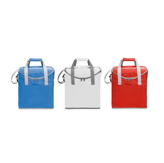 Large Insulated Lunch Cooler Bag
