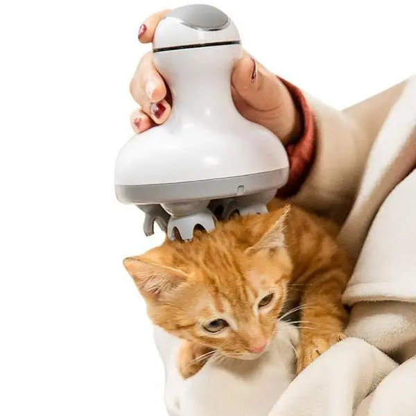 Multi-Function Electric Massager
