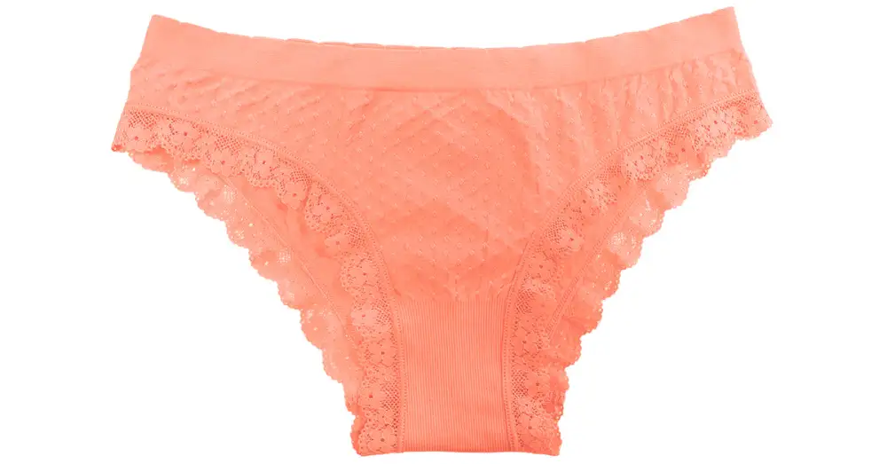 Seamless Tag-Free Lace-Trim Bikini Panty