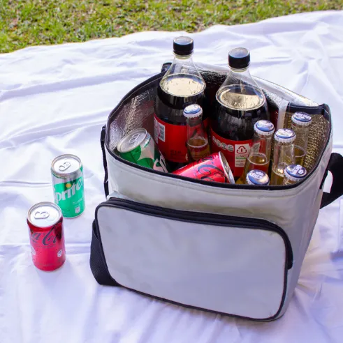 Portable Insulated Cooler Tote