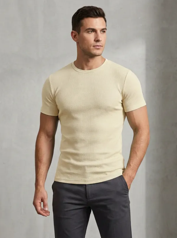 Streamlined Ribbed Textured Crew Neck Classic Look Men's Slim Fit Short Sleeve T-Shirt