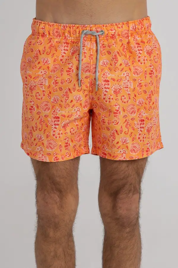 Sunset Reef Swim Shorts