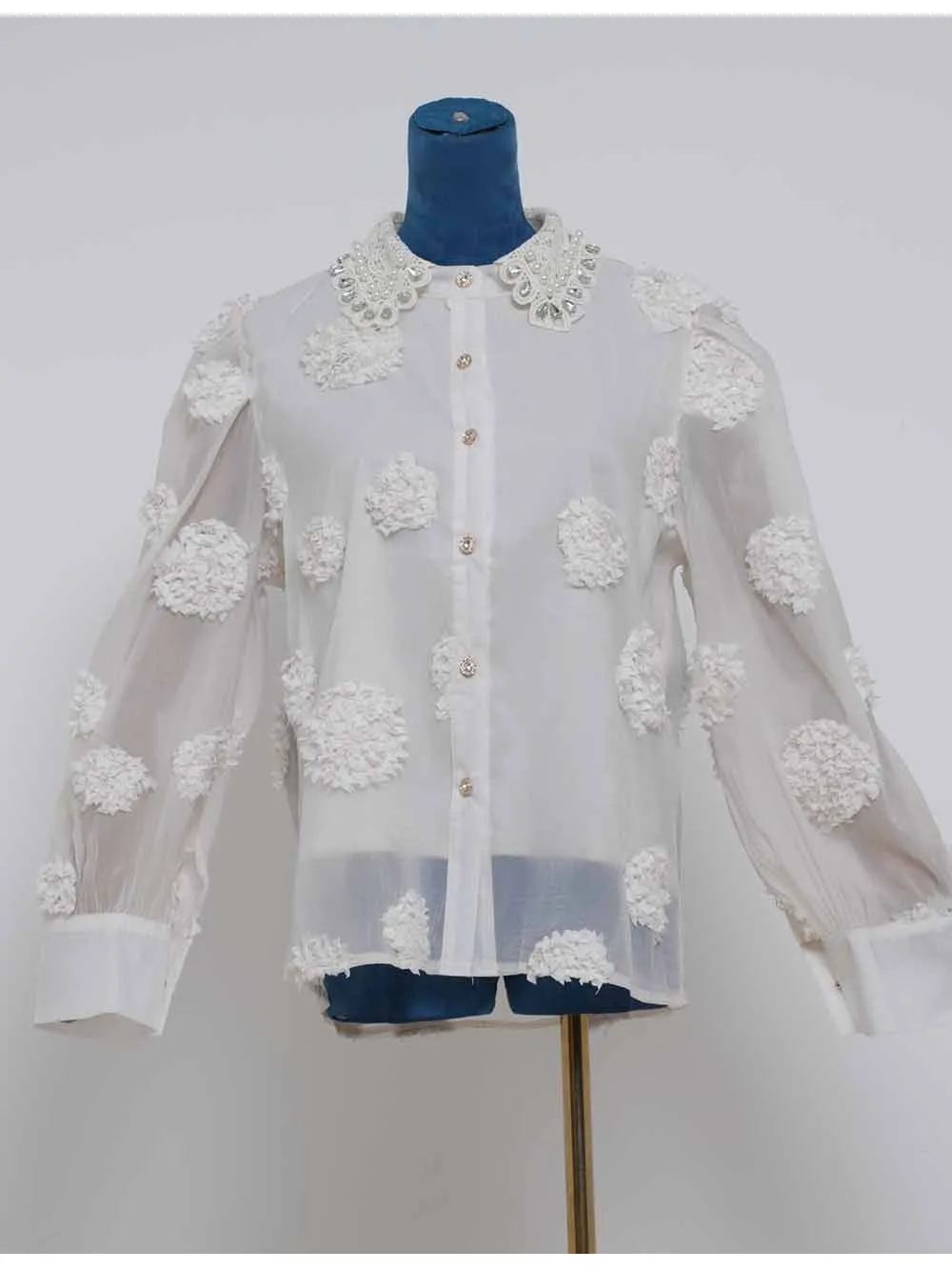 Chic Jacquard Lantern Sleeves Sheer Blouse