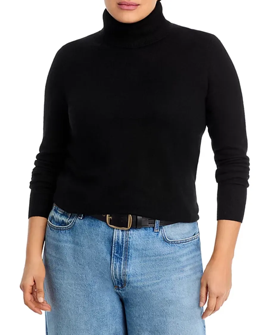 Long Sleeves Cashmere Turtleneck Sweater