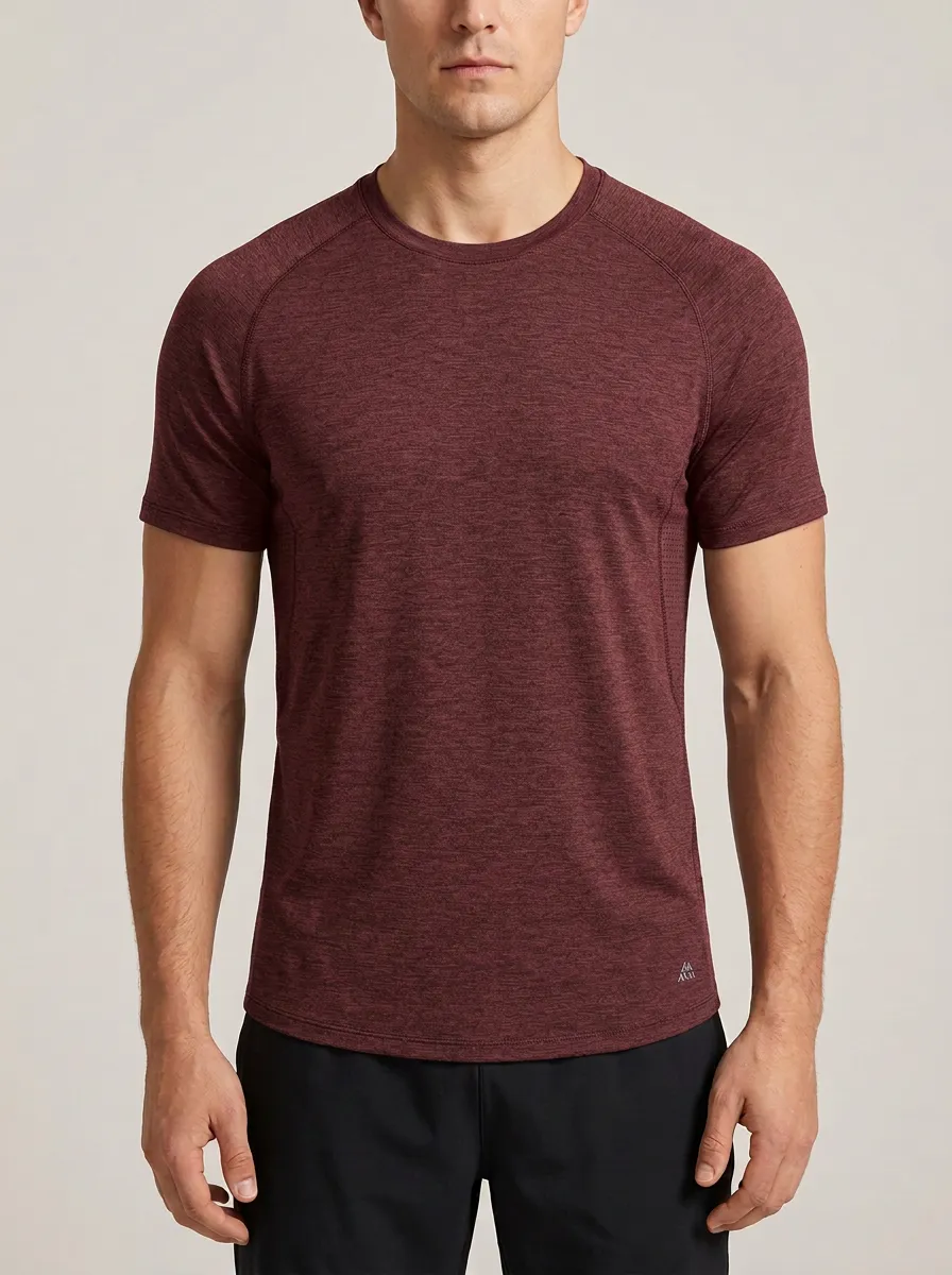 Men's Emblem Fitness Raglan Sport Crewneck T-Shirt