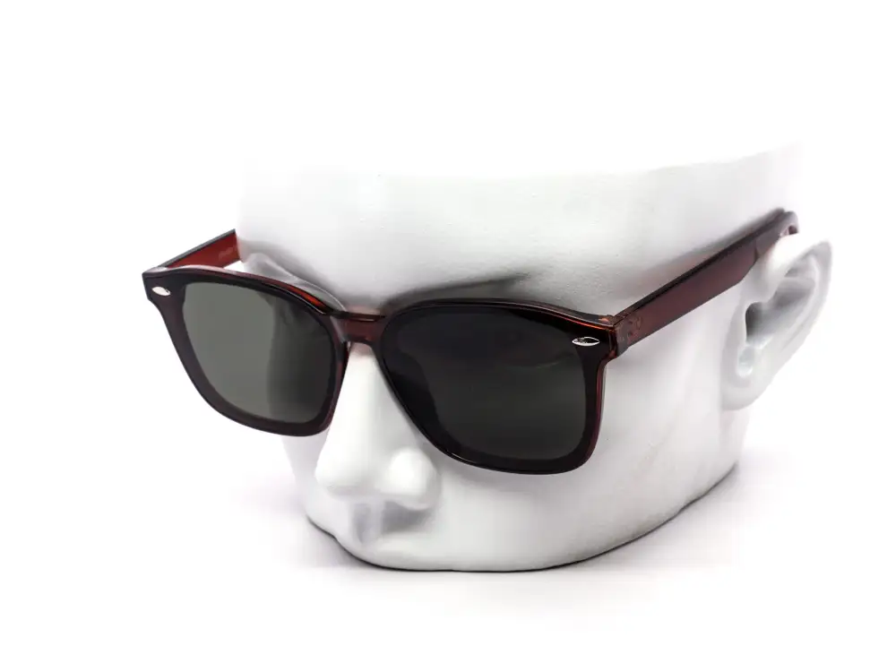 12-Pack Tortoise Classic Wayfarer-Style Crystal Sunglasses