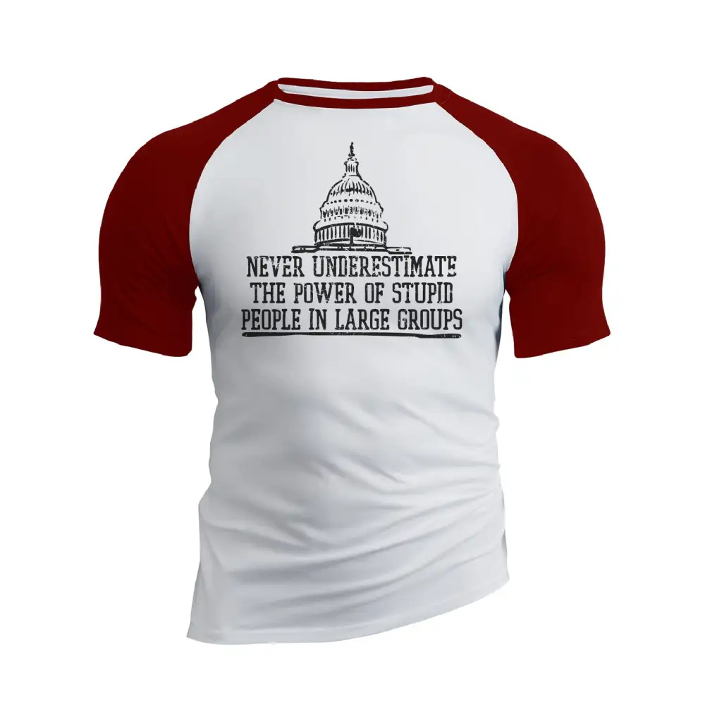 THE POWER OF STUPID PEOPLE RAGLAN GRAPHIC TEE