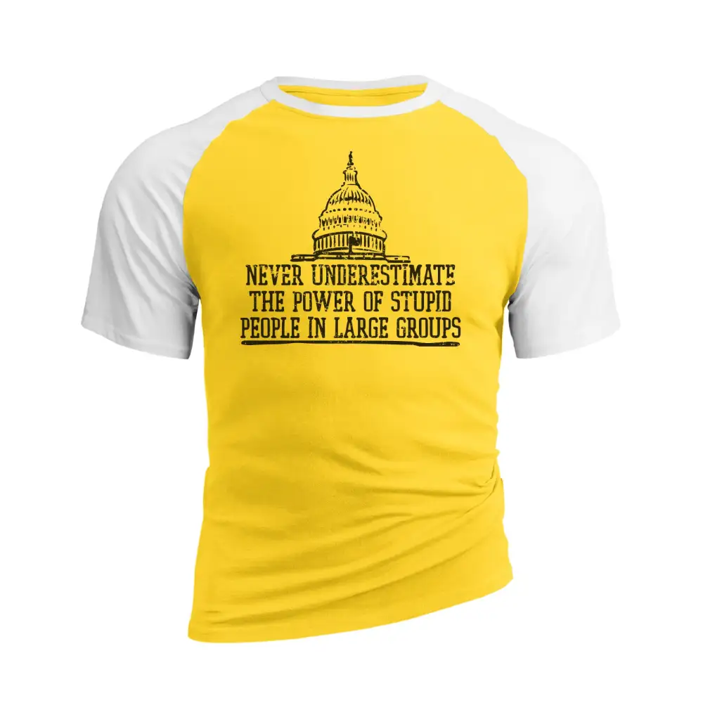 THE POWER OF STUPID PEOPLE RAGLAN GRAPHIC TEE