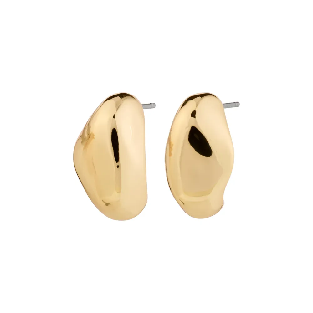 Polished Chunky Small Earrings