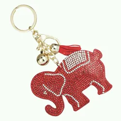 Delicate Decorative Token Keychain