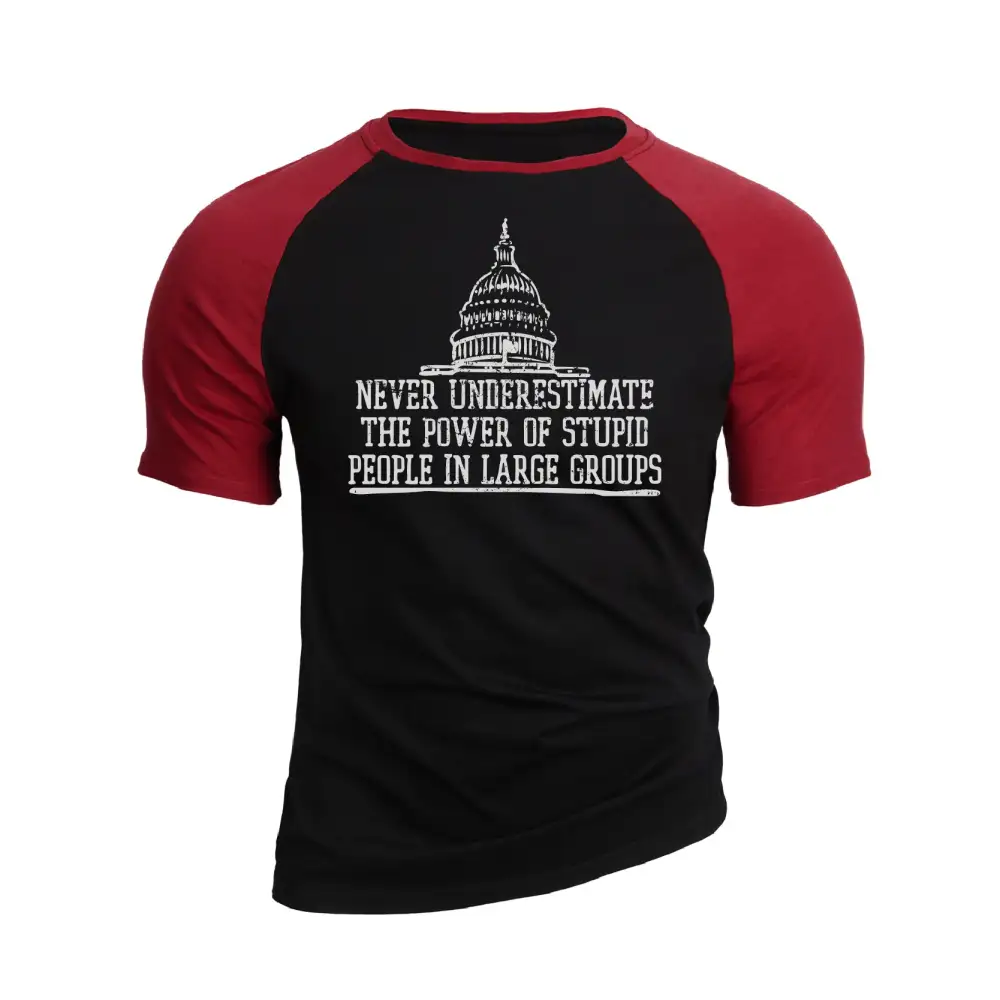 THE POWER OF STUPID PEOPLE RAGLAN GRAPHIC TEE