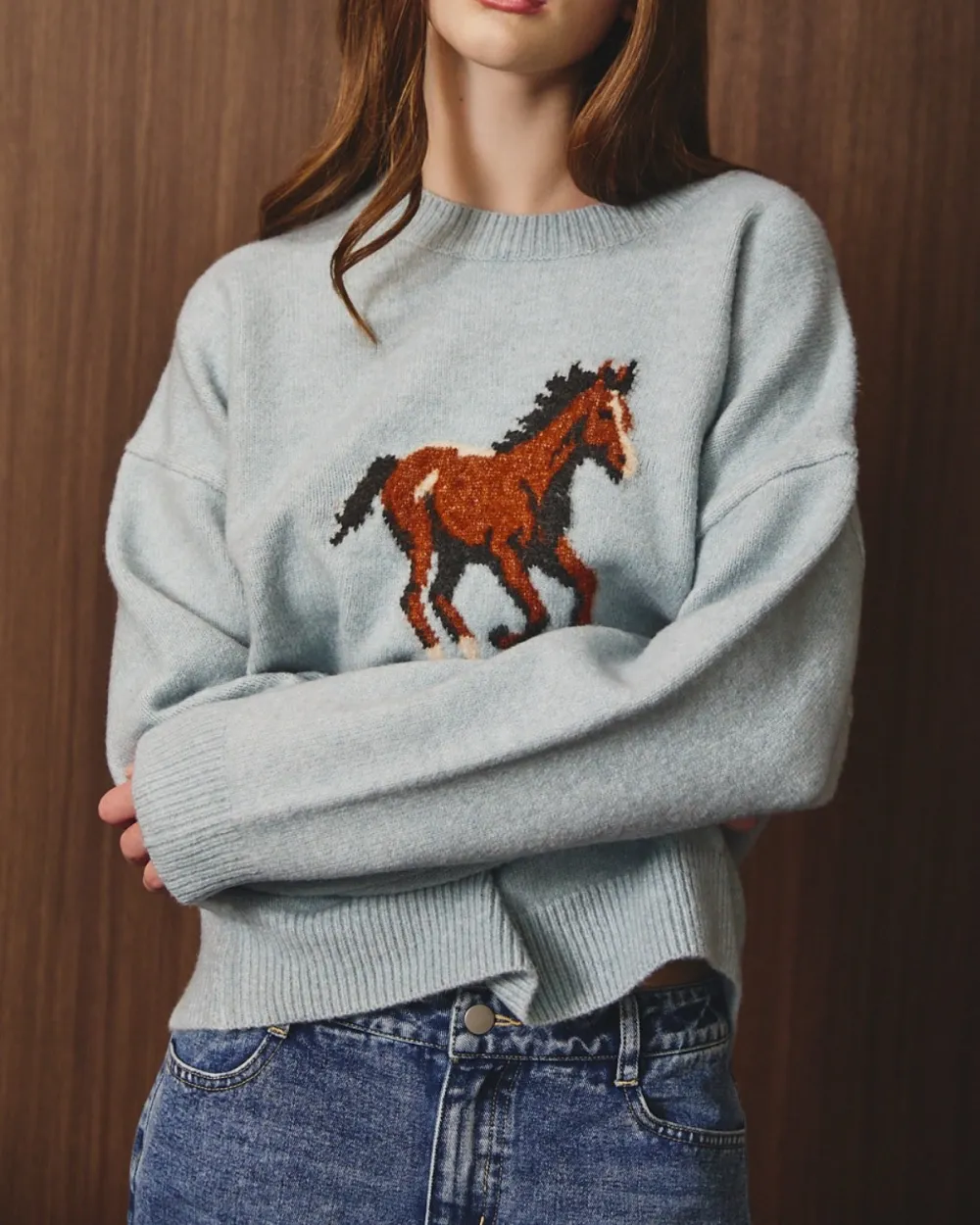 Horse Graphic Sweater