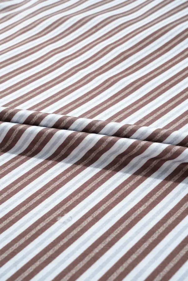 Chestnut Striped Stand V Neck Short Sleeve Blouse