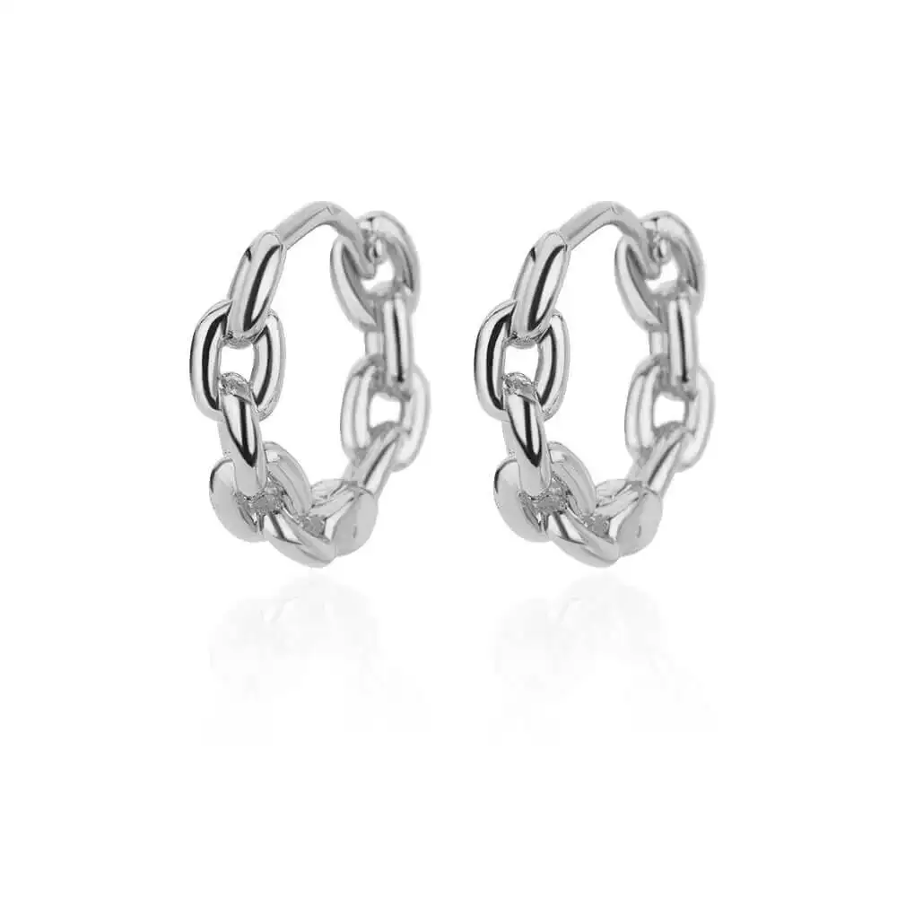 Stainless Steel Hoop Hoop Earrings