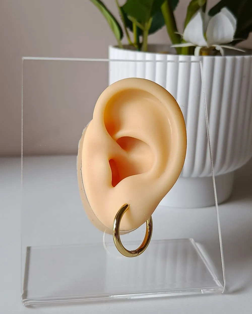 Gold Everyday Hoop Earrings