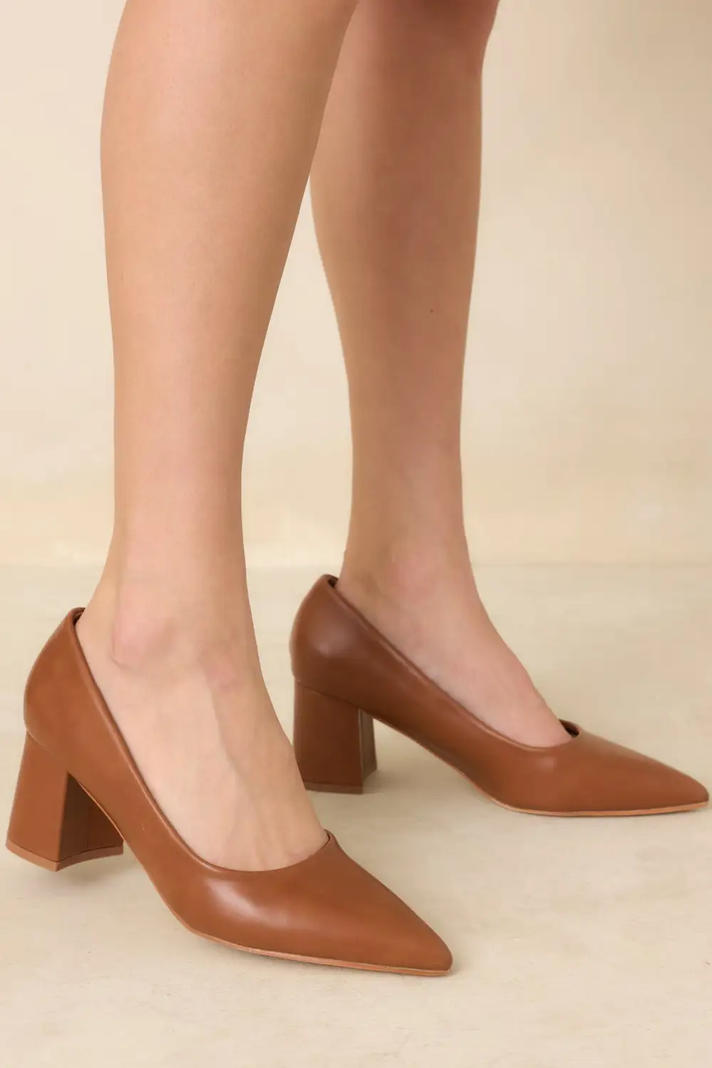 Pointed Toe Block Heel Pumps