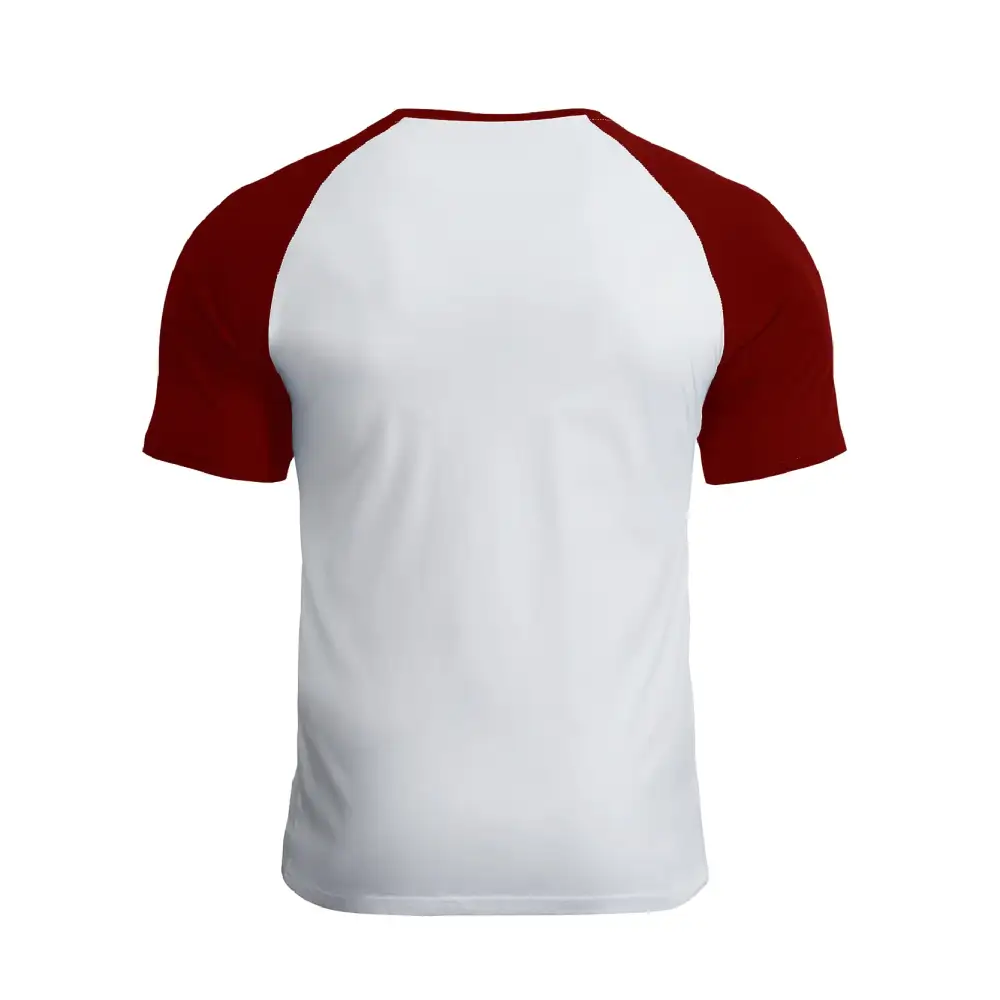THE POWER OF STUPID PEOPLE RAGLAN GRAPHIC TEE
